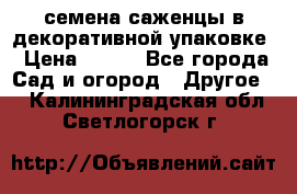 семена,саженцы в декоративной упаковке › Цена ­ 350 - Все города Сад и огород » Другое   . Калининградская обл.,Светлогорск г.